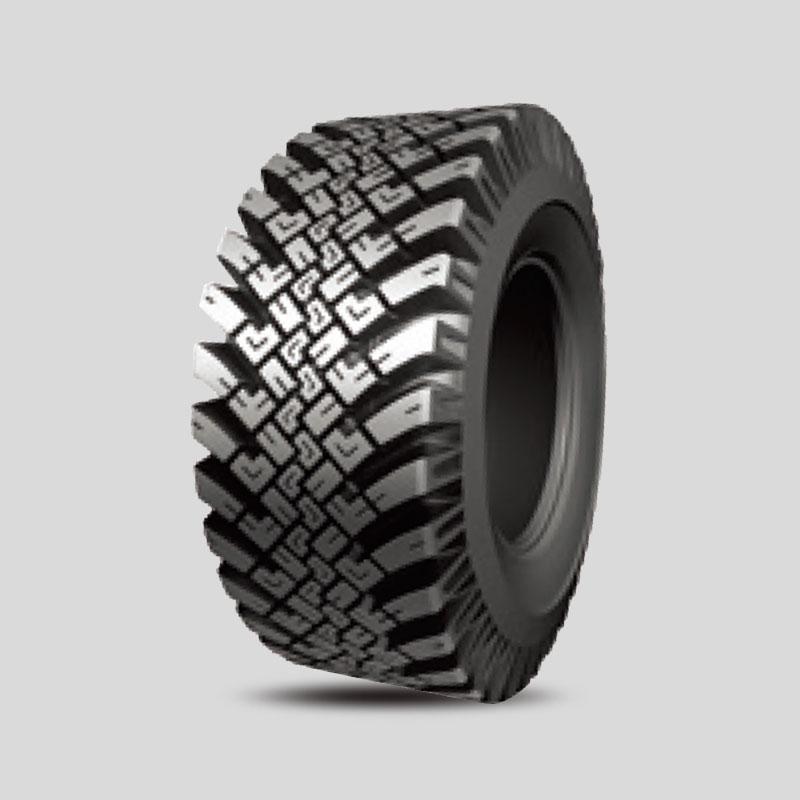 Snow Tire E256